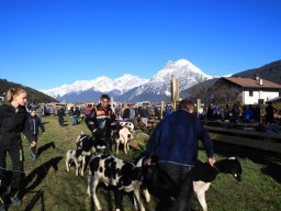 2019_ausstellung polling_093